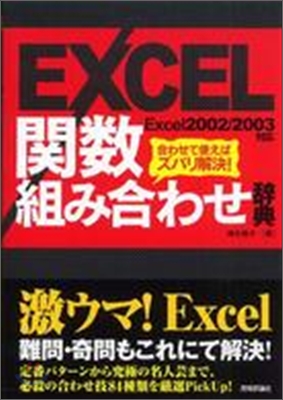 EXCEL關數組み合わせ辭典