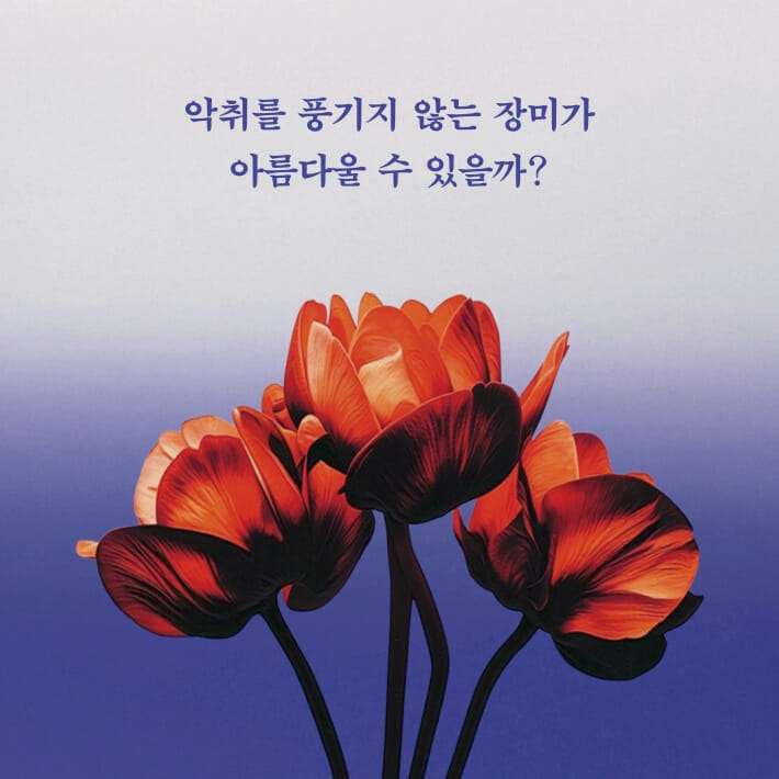 카드뉴스5