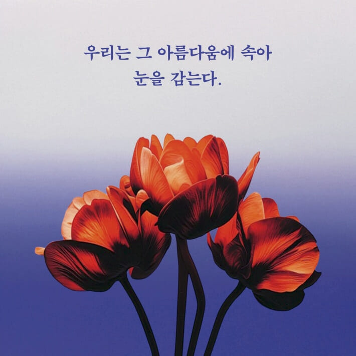 카드뉴스6