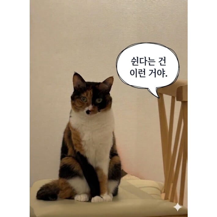 카드뉴스1