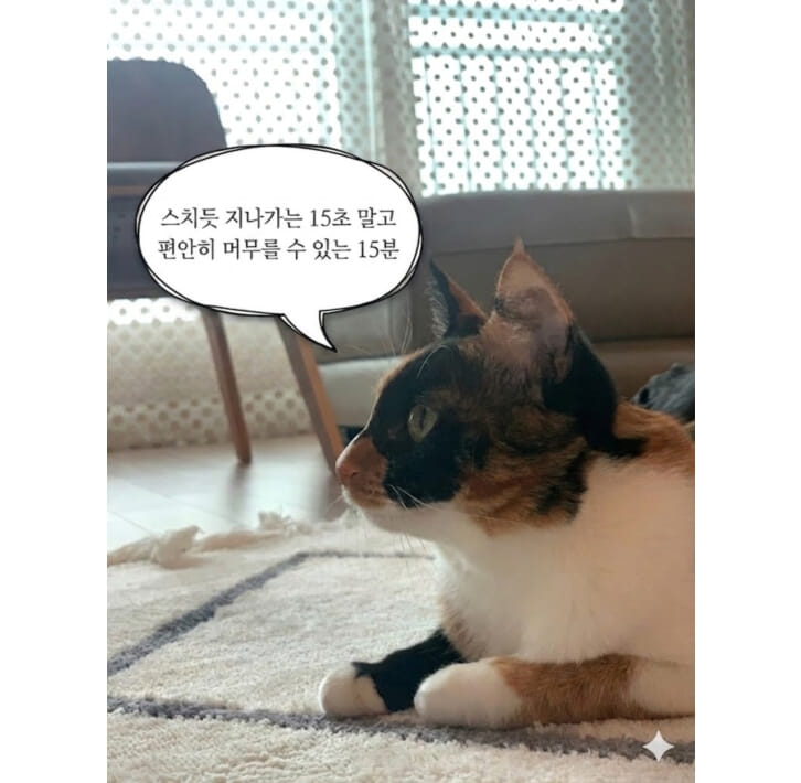 카드뉴스2