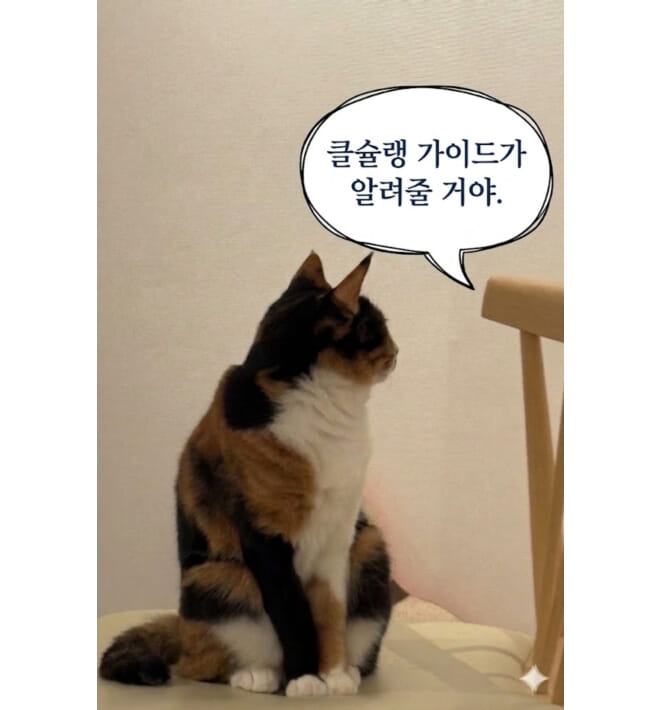 카드뉴스3
