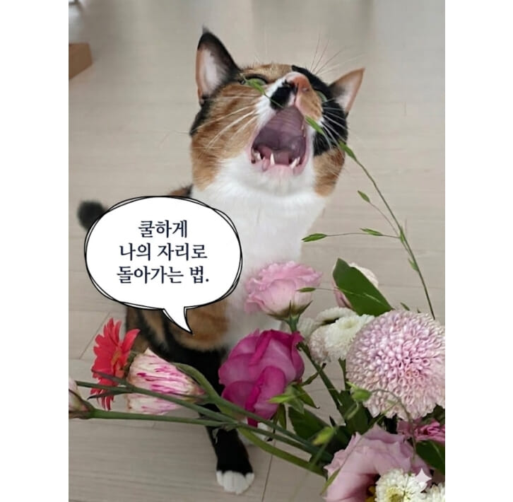 카드뉴스4