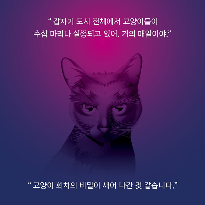 카드뉴스2