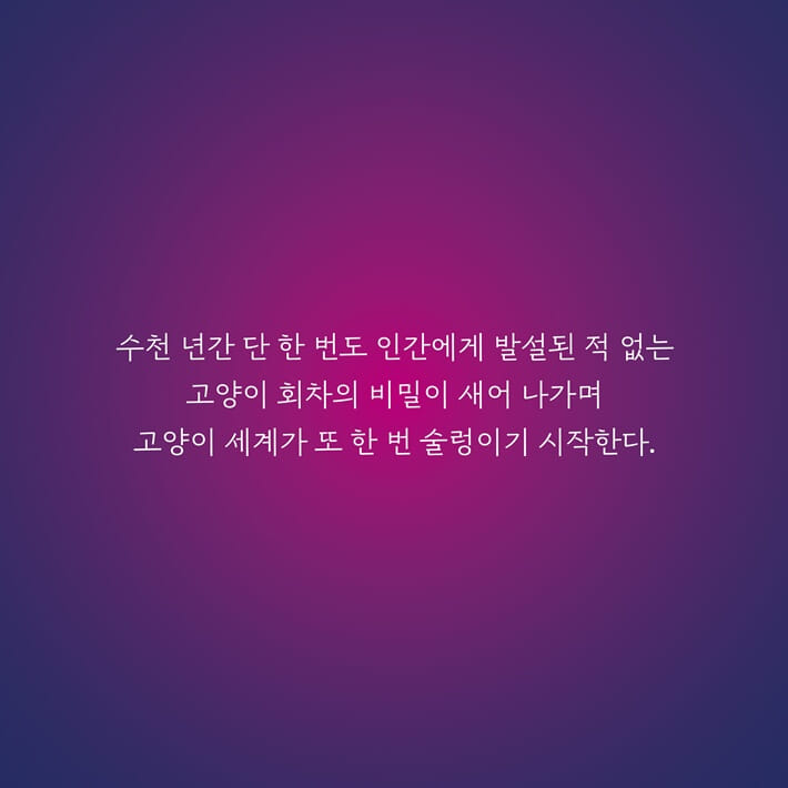 카드뉴스3