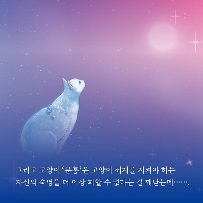 카드뉴스6