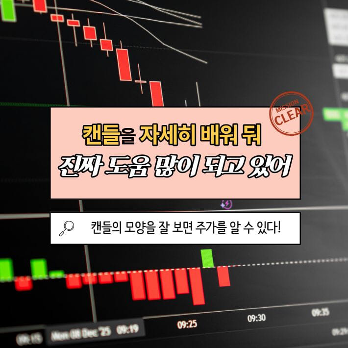 카드뉴스3