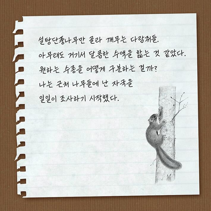 카드뉴스4