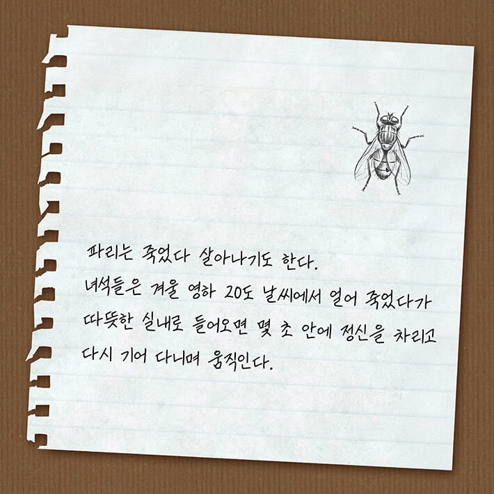 카드뉴스5