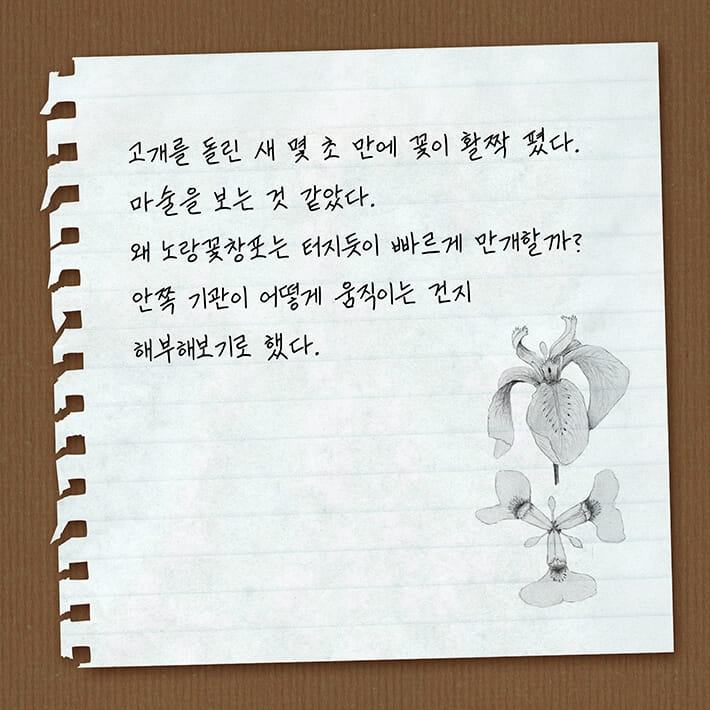 카드뉴스6