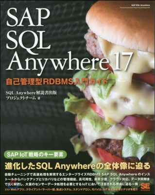 SAP SQL Anywhere17
