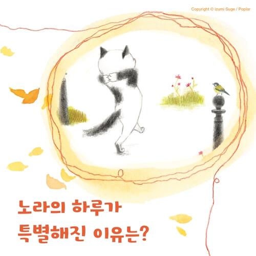 카드뉴스1