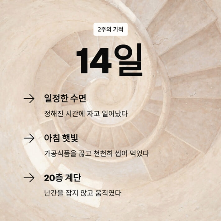 카드뉴스4