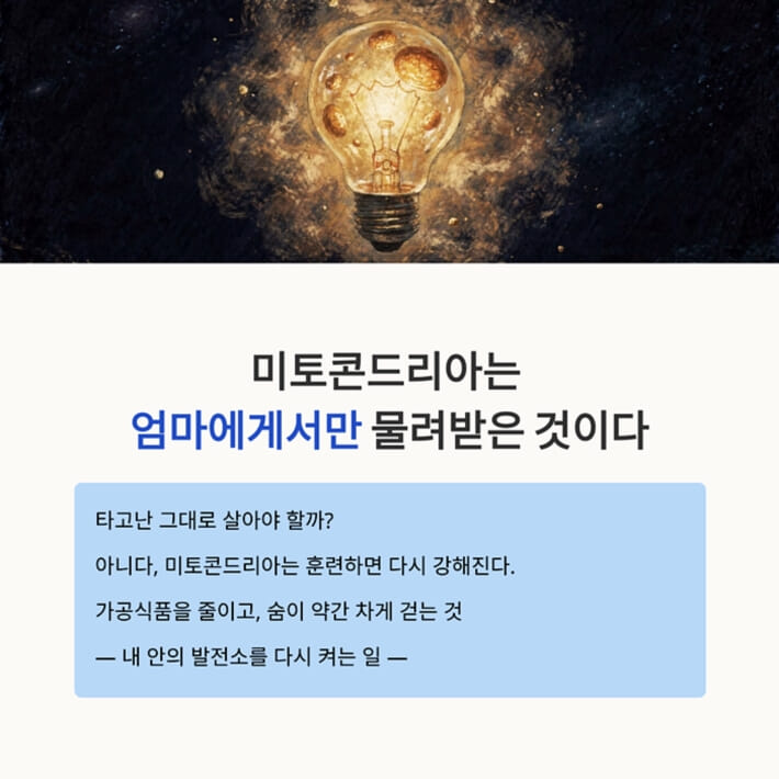 카드뉴스8