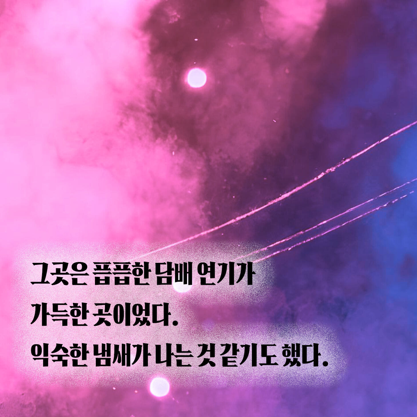 카드뉴스