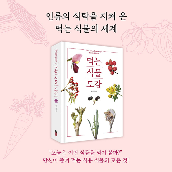 카드뉴스1