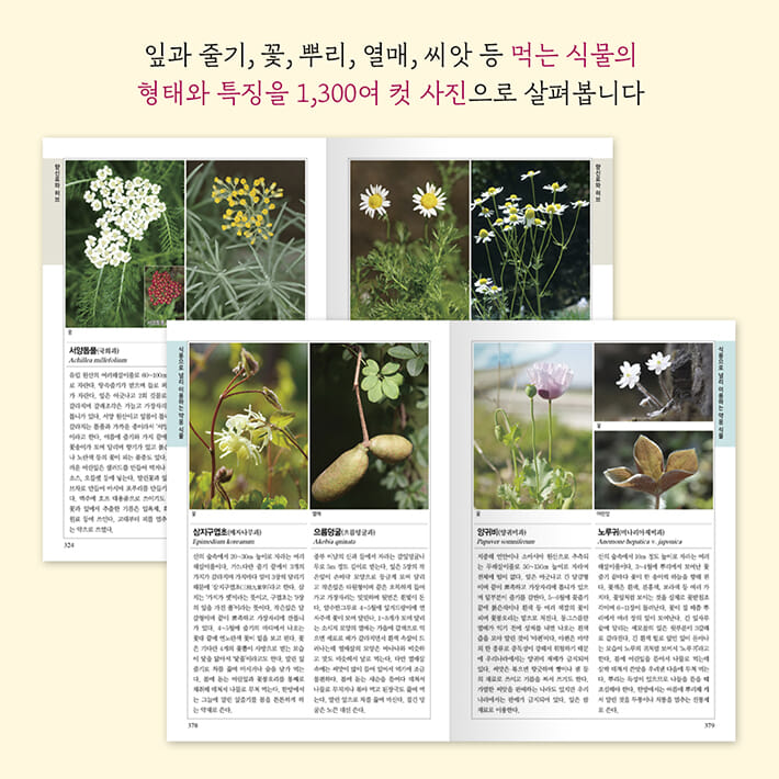 카드뉴스3