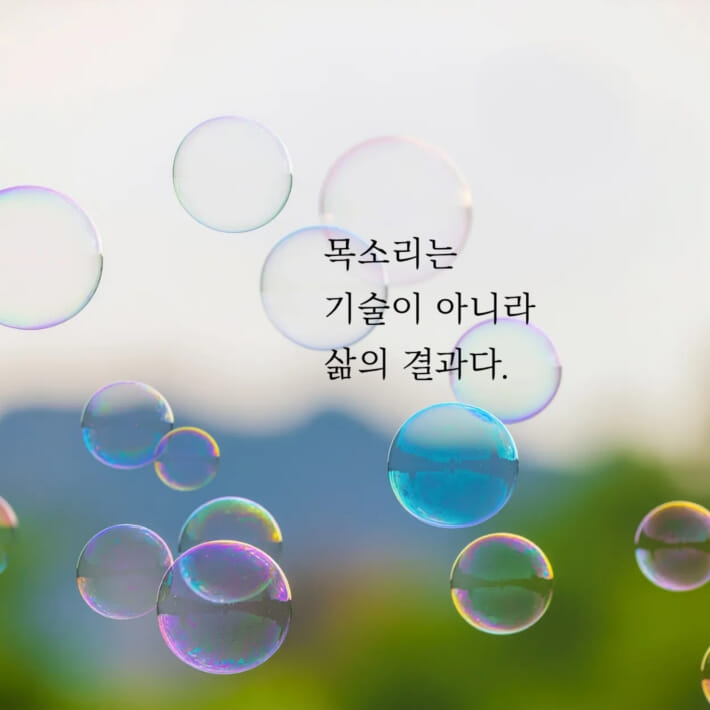 카드뉴스3