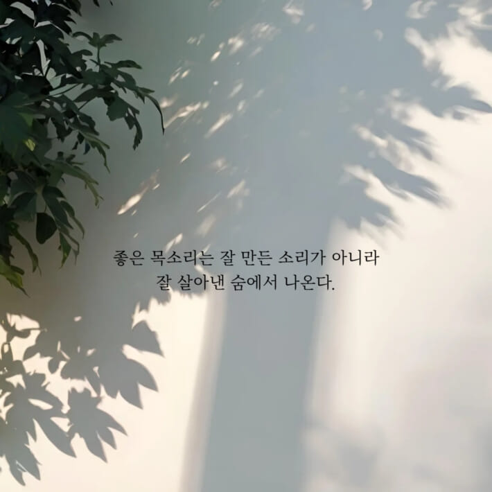 카드뉴스4