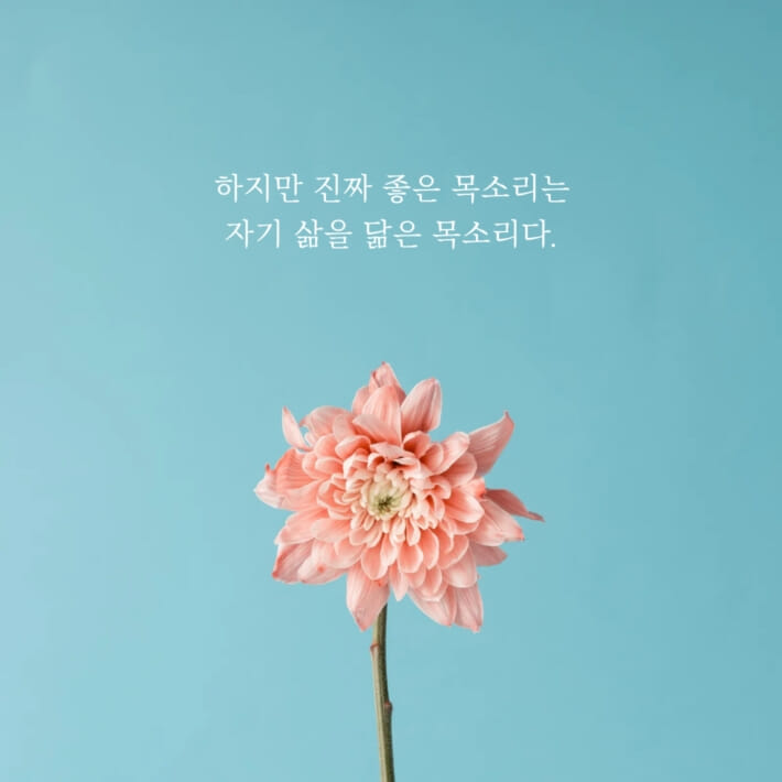 카드뉴스6