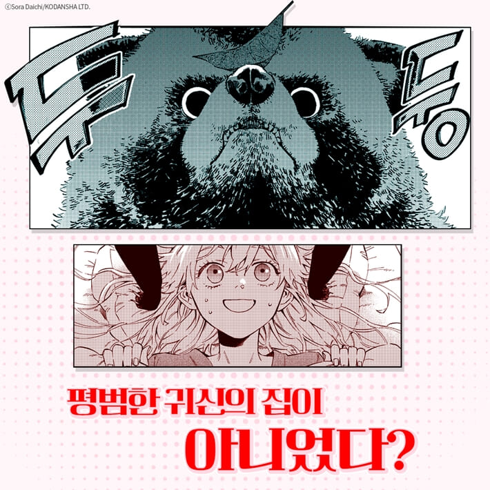 카드뉴스5