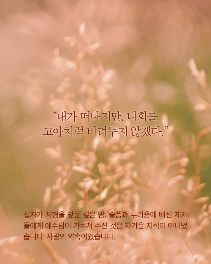 카드뉴스5