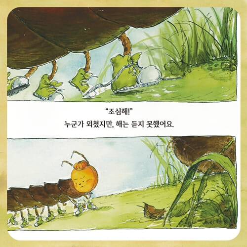 카드뉴스5