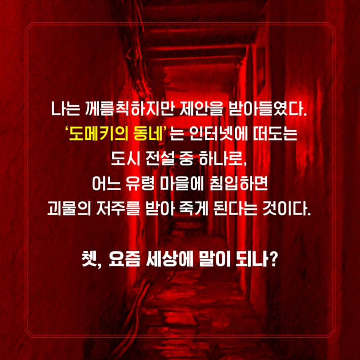 카드뉴스4