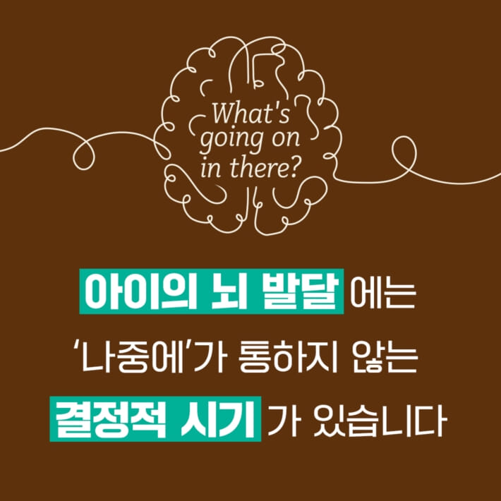 카드뉴스1