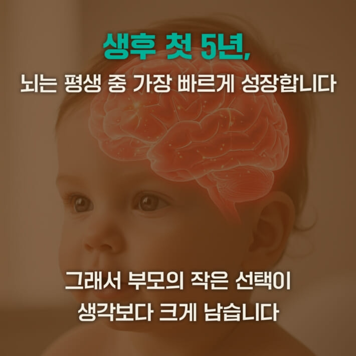카드뉴스2