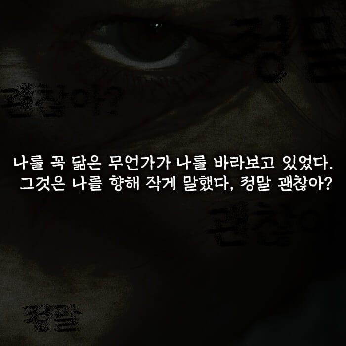 카드뉴스5