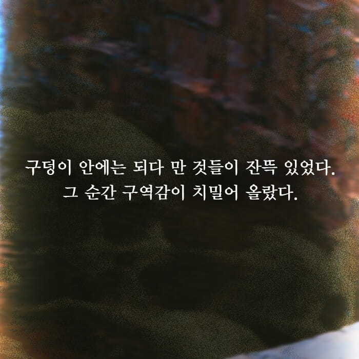 카드뉴스6