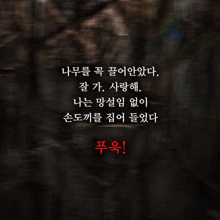 카드뉴스7