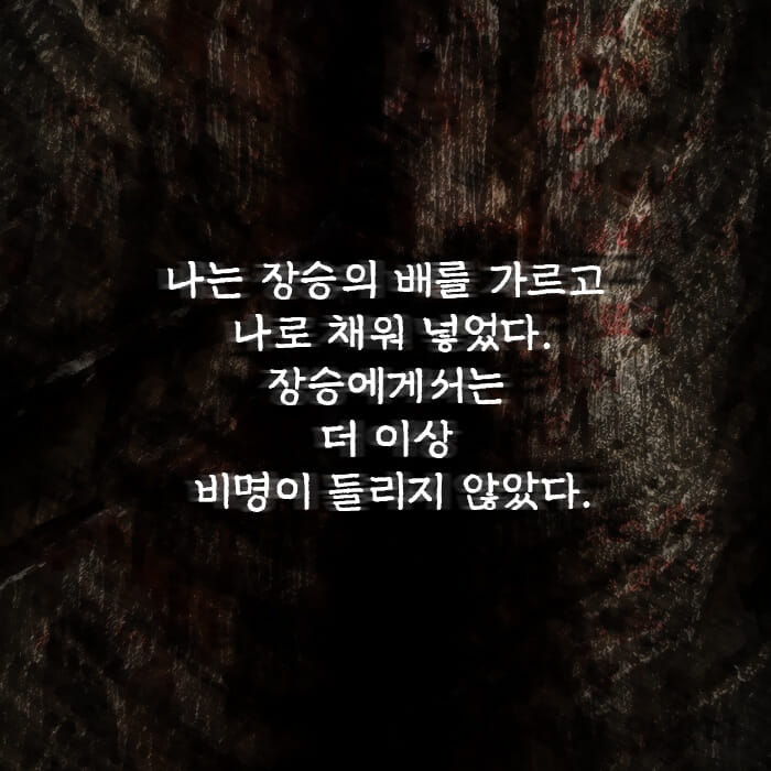 카드뉴스8