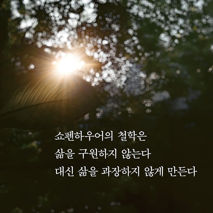 카드뉴스4