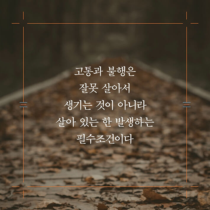 카드뉴스6