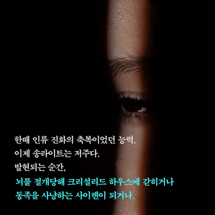 카드뉴스4
