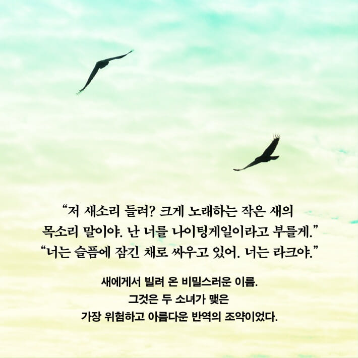 카드뉴스8