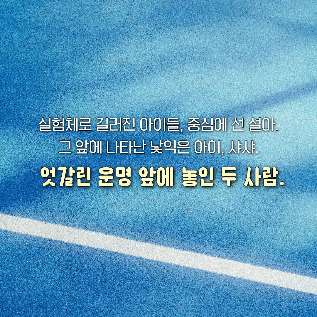카드뉴스1