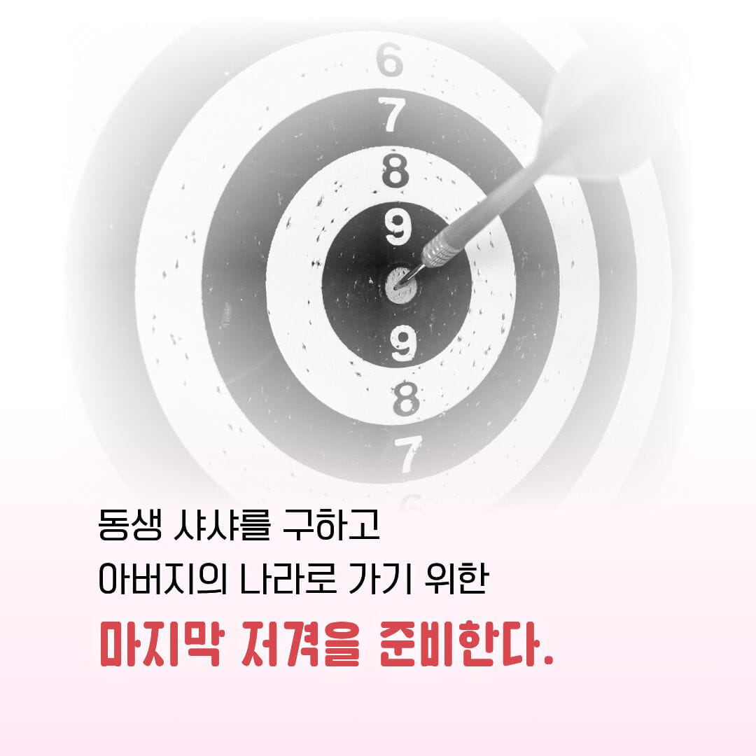 카드뉴스5