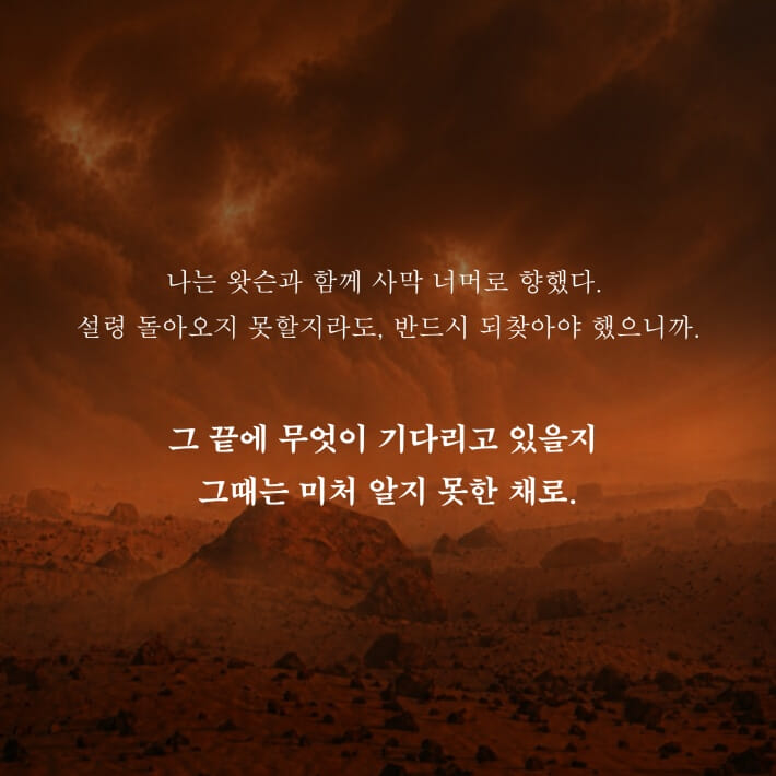 카드뉴스5