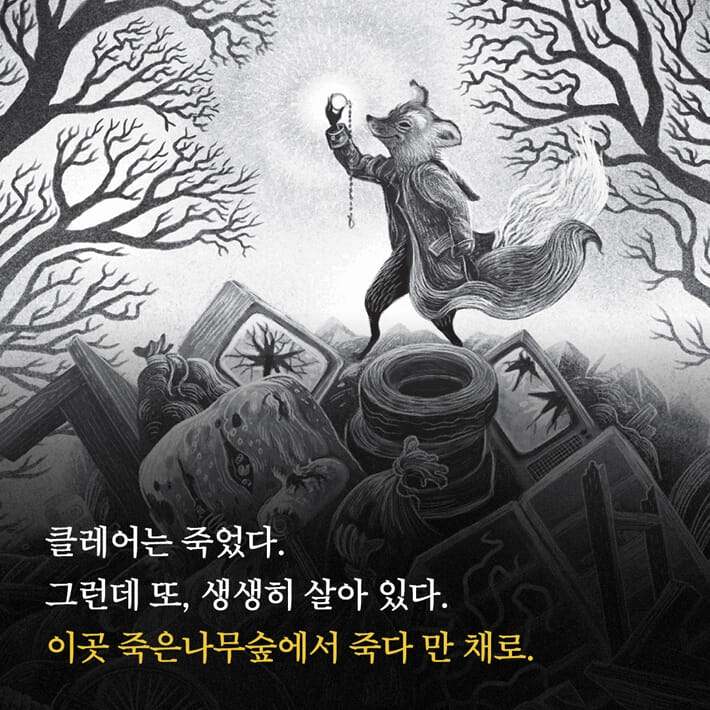 카드뉴스2