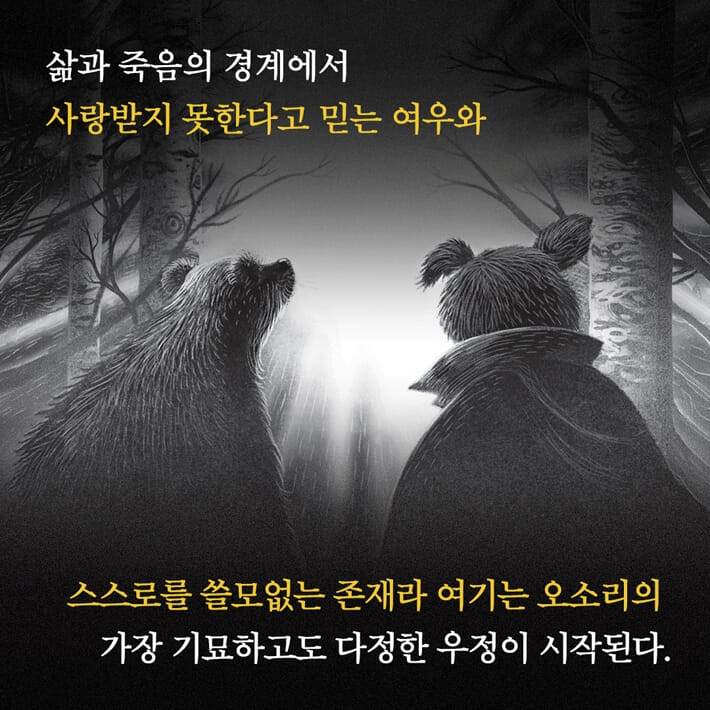 카드뉴스8