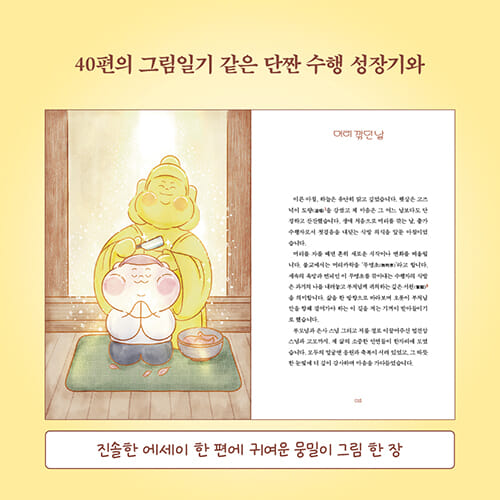 카드뉴스5