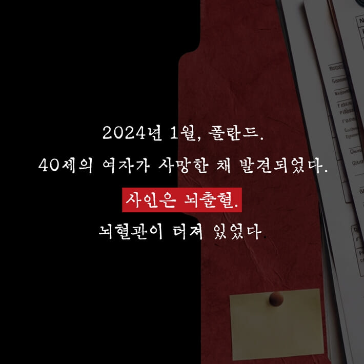 카드뉴스2