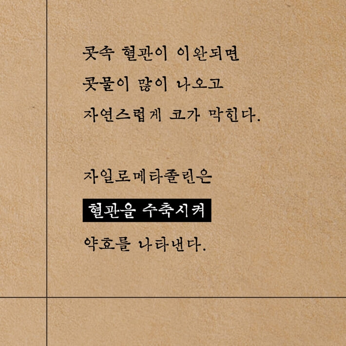 카드뉴스4
