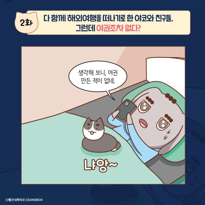 카드뉴스3