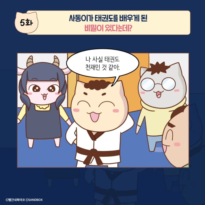 카드뉴스6