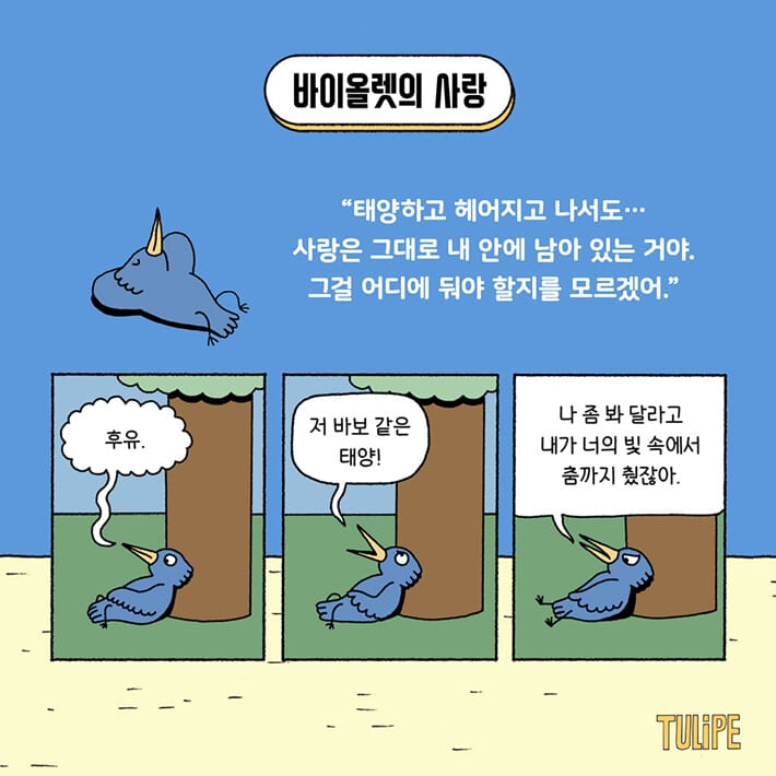 카드뉴스3