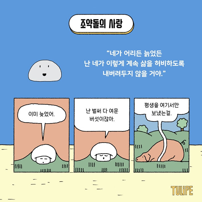 카드뉴스5